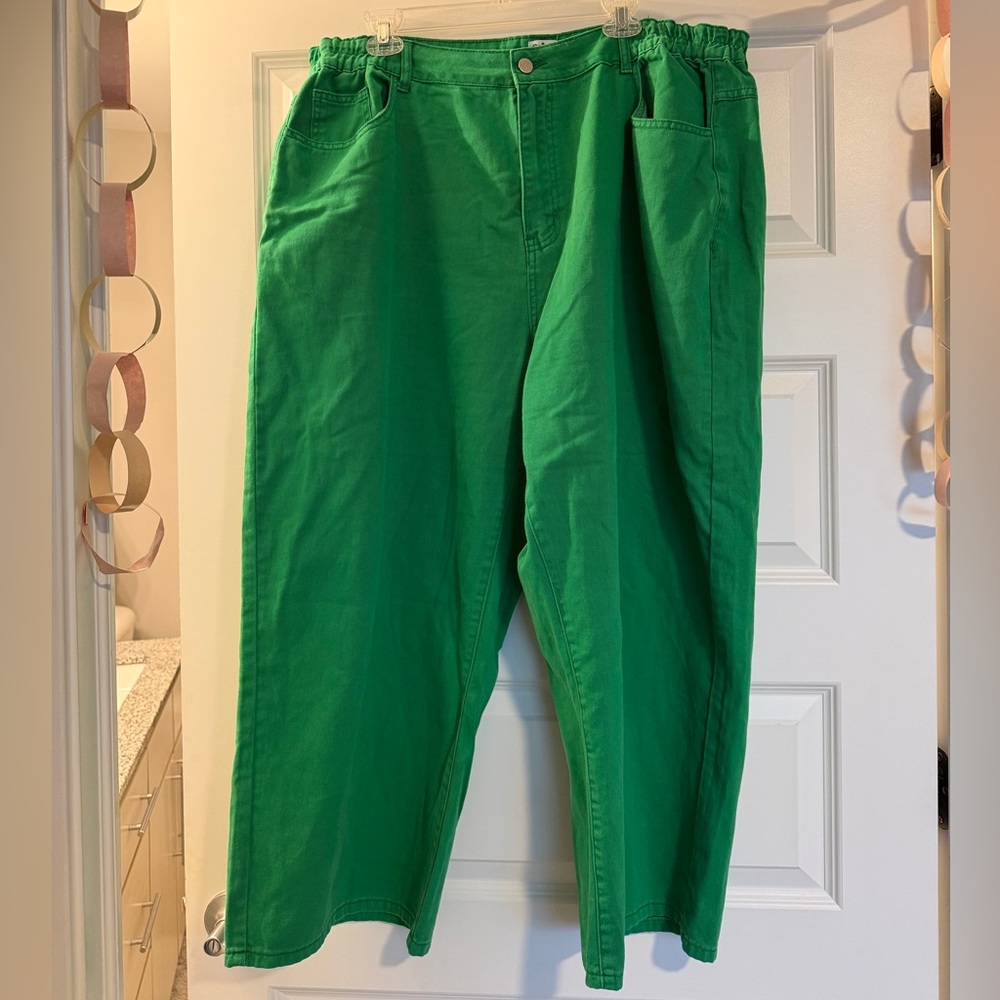 Shiny by Nature Green High-Waist Denim Pants - Plus Size - Women